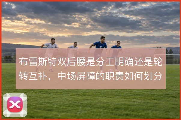 布雷斯特双后腰是分工明确还是轮转互补,中场屏障的职责如何划分